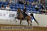 10usn_09960 proof