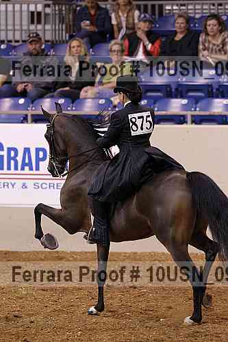 Proof 10usn_09963