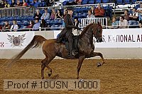 10usn_10000 proof