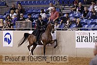 10usn_10015 proof
