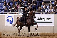 10usn_10026 proof