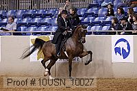 10usn_10027 proof