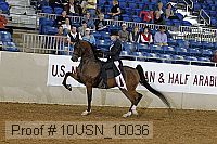 10usn_10036 proof