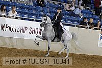 10usn_10041 proof