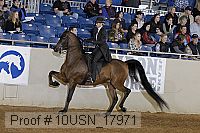 10usn_17971 proof