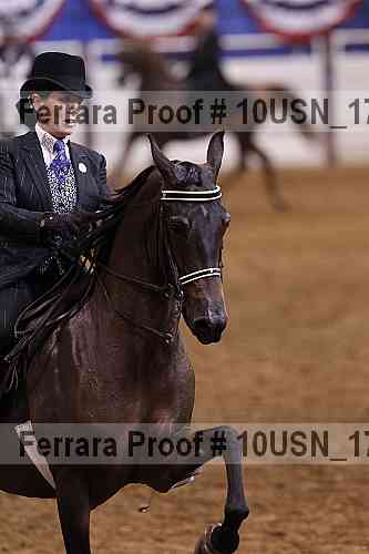 Proof 10usn_17976