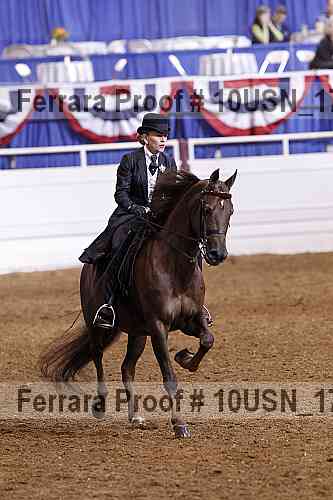 Proof 10usn_17978