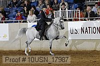 10usn_17987 proof