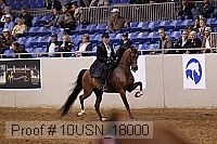 10usn_18000 proof
