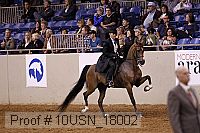 10usn_18002 proof