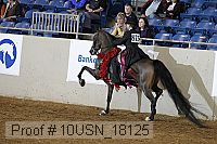 10usn_18125 proof