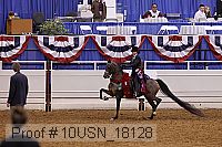 10usn_18128 proof