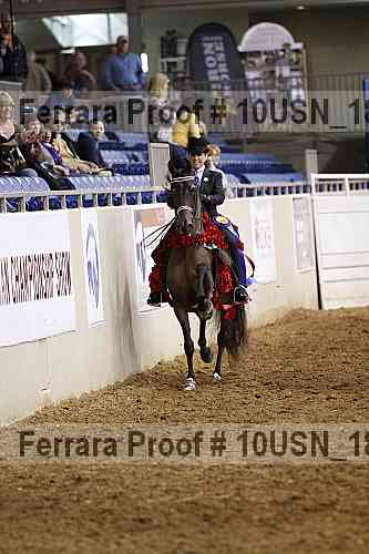 Proof 10usn_18145
