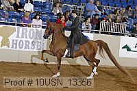 10usn_13356 proof