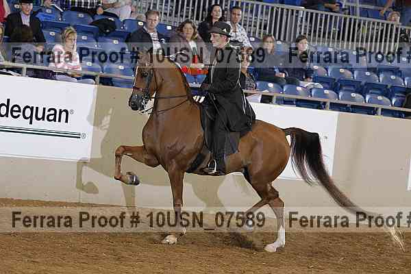 Proof 10usn_07589