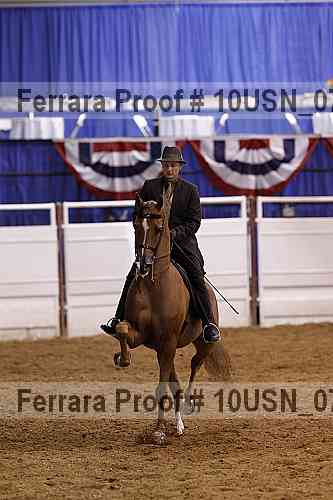 Proof 10usn_07595