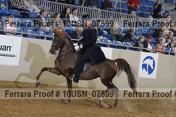 Proof 10usn_07599