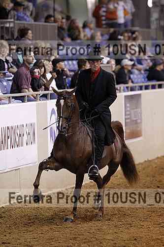 Proof 10usn_07602