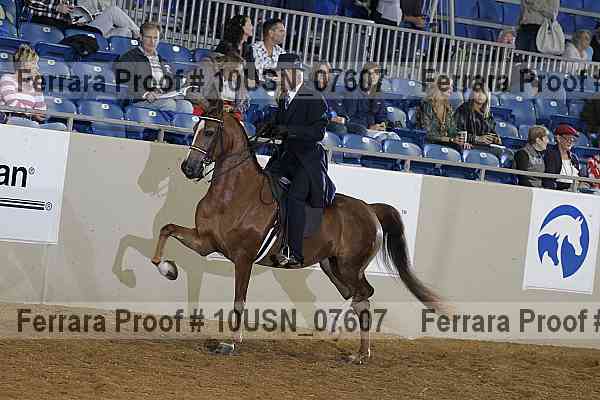 Proof 10usn_07607