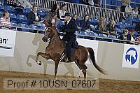 10usn_07607 proof