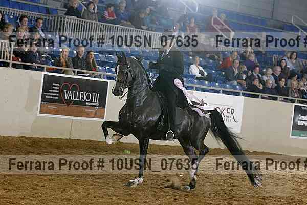 Proof 10usn_07635