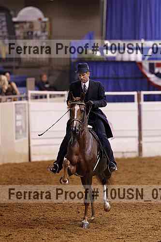 Proof 10usn_07647
