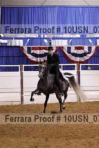 Proof 10usn_07650
