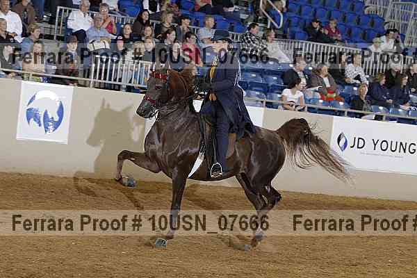 Proof 10usn_07666