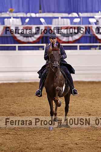 Proof 10usn_07670