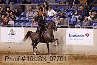 10usn_07701 proof