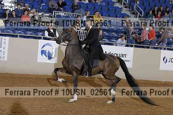 Proof 10usn_02561