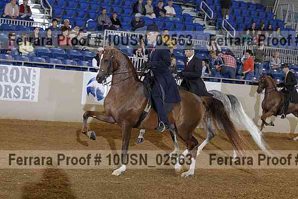 Proof 10usn_02563