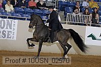 10usn_02570 proof