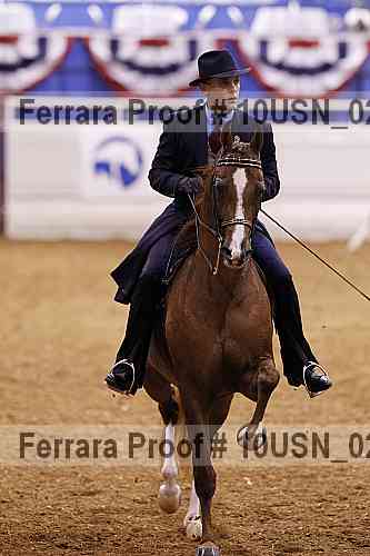 Proof 10usn_02595