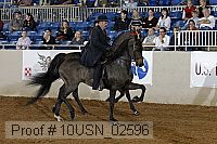 10usn_02596 proof