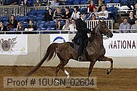 10usn_02604 proof