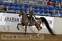 10usn_02621 proof