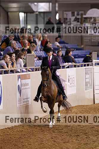 Proof 10usn_02631