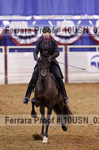 Proof 10usn_02646