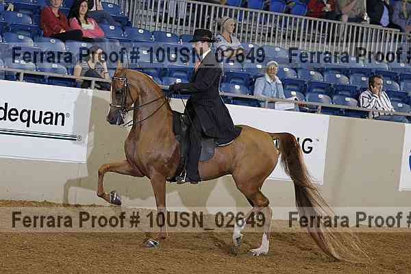Proof 10usn_02649
