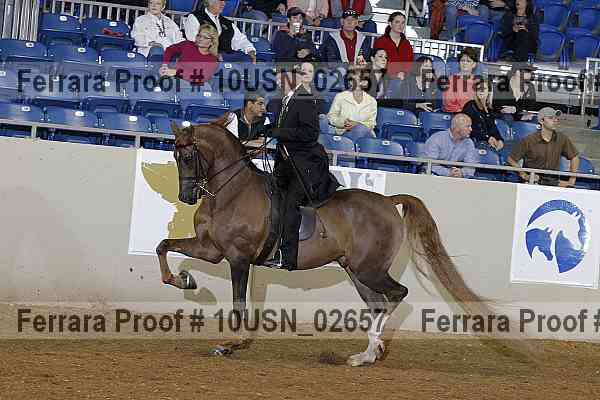 Proof 10usn_02657
