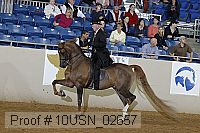 10usn_02657 proof