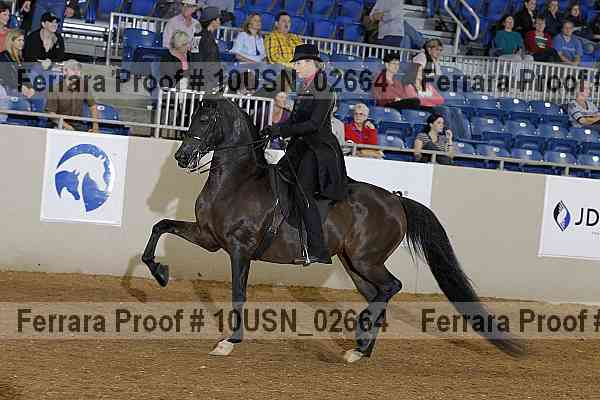 Proof 10usn_02664