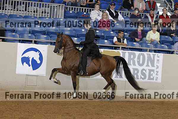 Proof 10usn_02666
