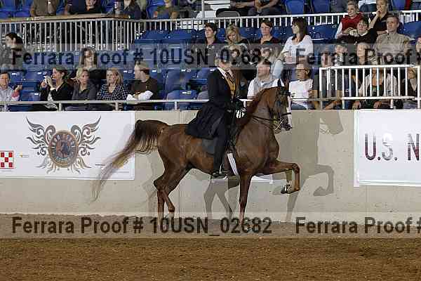 Proof 10usn_02682