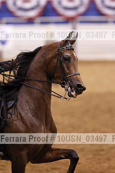 Proof 10usn_03497