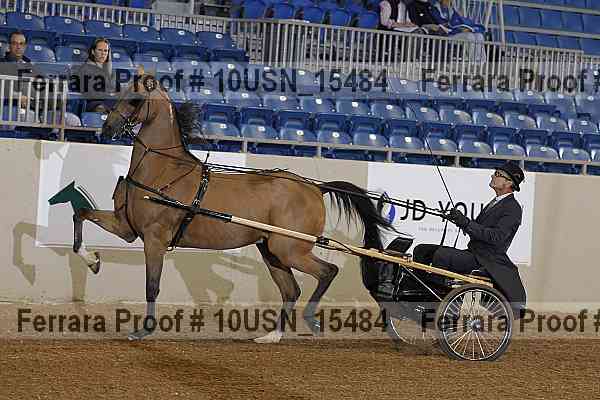 Proof 10usn_15484