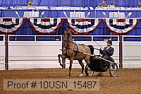 10usn_15487 proof