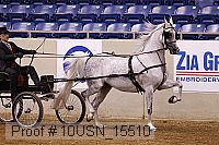 10usn_15510 proof