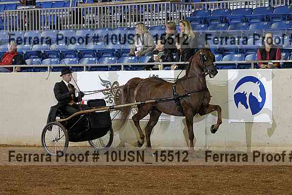 Proof 10usn_15512